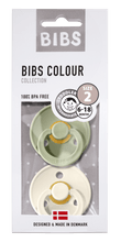Load image into Gallery viewer, Bibs Twin Dummy Pack - NorishorBibs Twin Dummy Pack