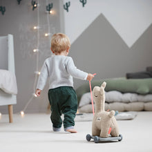 Load image into Gallery viewer, Pull along 2-in-1 toy Lalee