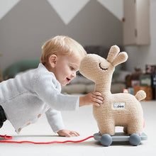Load image into Gallery viewer, Pull along 2-in-1 toy Lalee