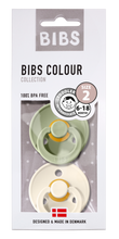 Load image into Gallery viewer, Bibs Twin Dummy Pack - Norishor