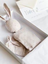 Load image into Gallery viewer, Baby Gift - Powder Shell Bunny Comforter